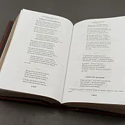 Книга Высоцкий "Прерванный полёт" в подарок — фотография 4