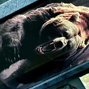 Нарды под стеклом «Хозяин тайги» — необычный подарок — фотография 4