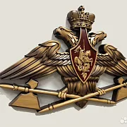 Резной герб МТО ВС РФ из бука — необычный подарок — фотография 2