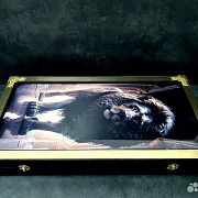 На память: Нарды под стеклом «Золотой лев» — фотография 6