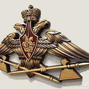 Резной герб МТО ВС РФ из бука — необычный подарок — фотография 3